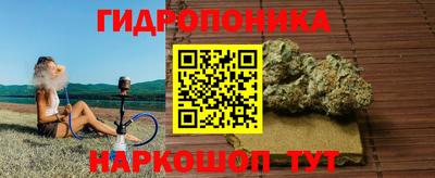 индика Кунгур