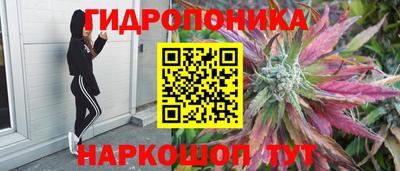 индика Кулебаки