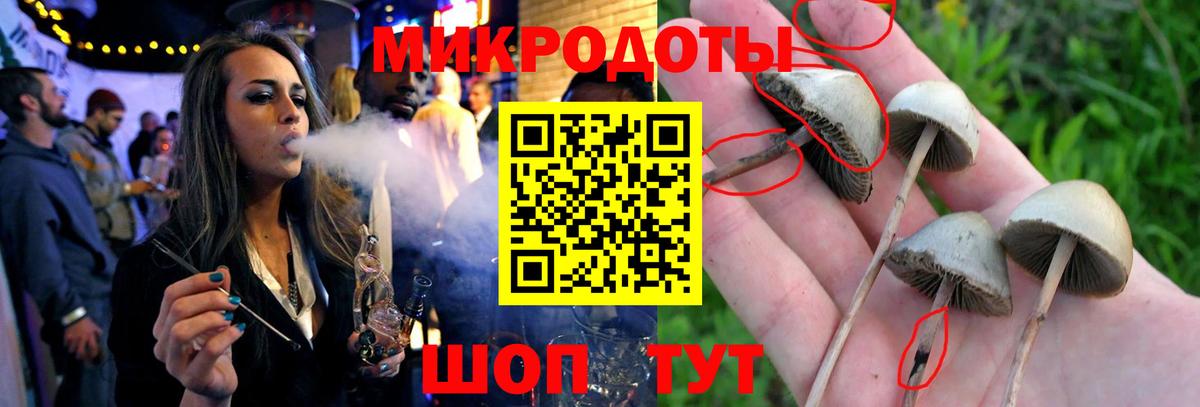 Галлюциногенные грибы мицелий  Вход с VPN  Красноуфимск 